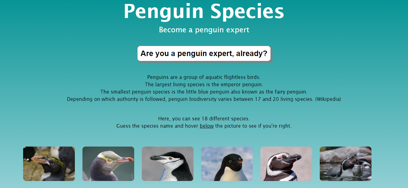 penguin project